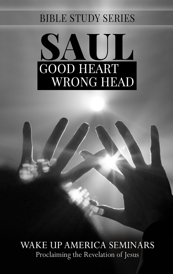 29  - Saul Good Heart Wrong Head