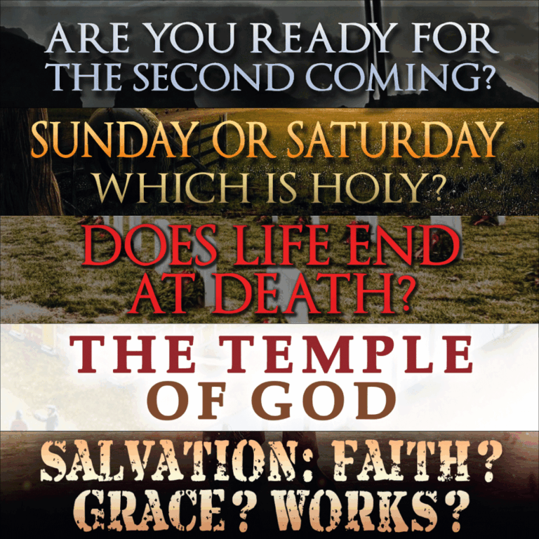 Five S's Booklet Set