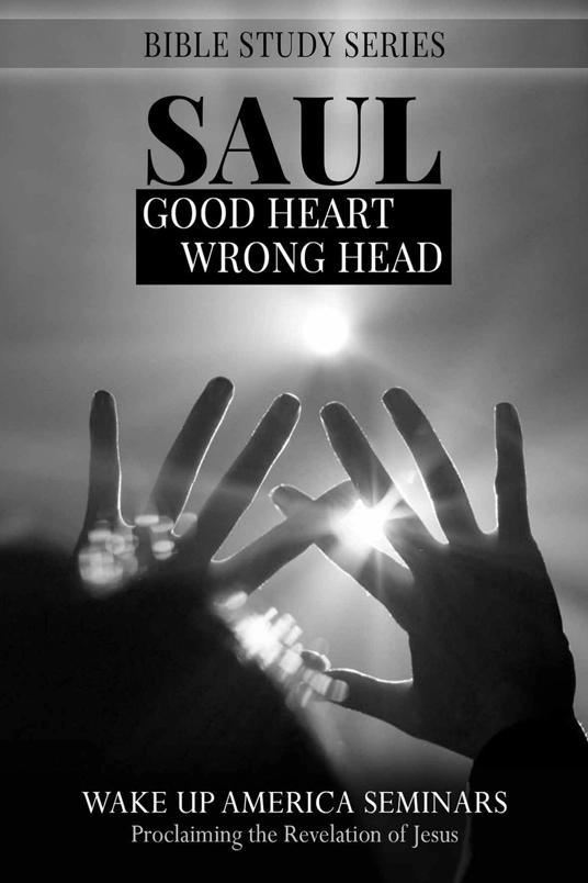 29  - Saul Good Heart Wrong Head